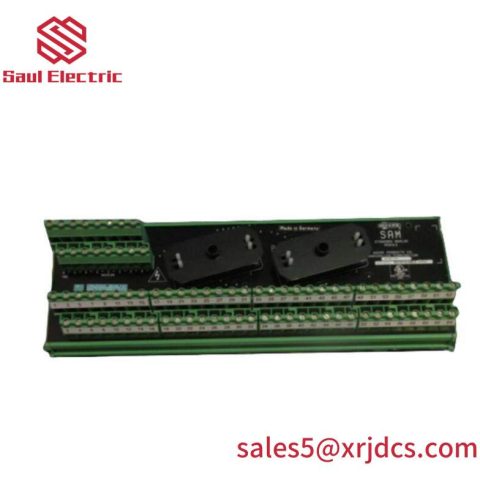 Moore 16169-1-07 SAM Standard Analog Module: Precision Control at Your Fingertips