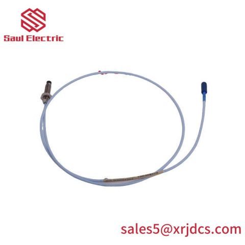 BENTLY NEVADA 22810-00-10-10-02: Precision Proximity Probe for Advanced Control Systems