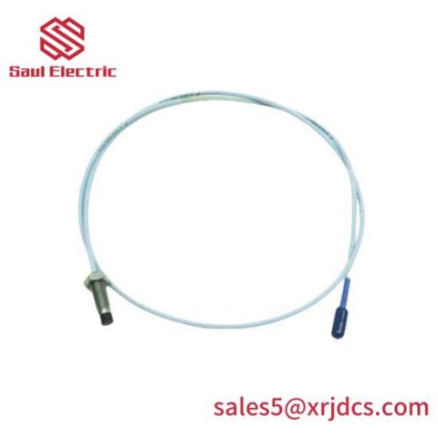 Bently Nevada 330103-00-06-10-02-05, Advanced Industrial Control Module