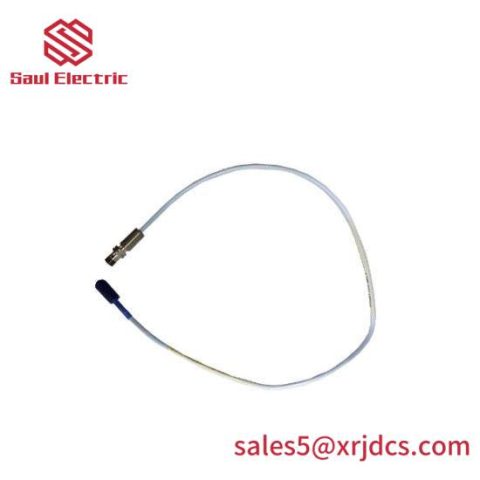 Bently Nevada 330106-05-30-05-02-00 TSI System