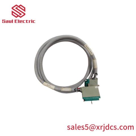 TRICONEX 4000093-310 Extended Product PLC