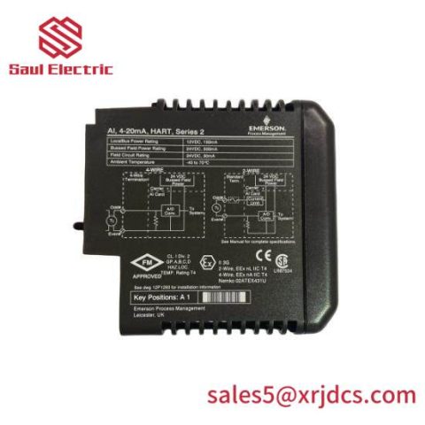 Emerson VE4003S2B2 | DeltaV Analog Input Module