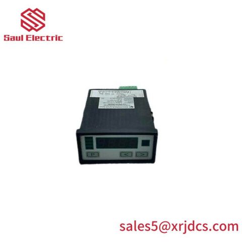 Negele Process Display DPM-GS-2GW-S Digital Display